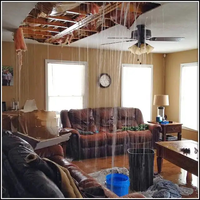 Emergency Water Damage Services in Greenwood, MS