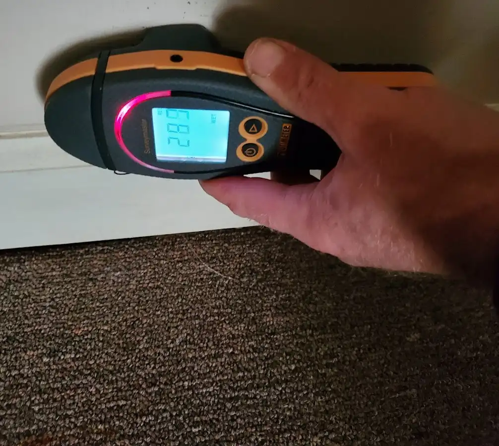 Moisture detection at baseboard during Mold Inspection & Testing in Greenwood